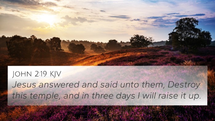 John 2:19 KJV Bible Verse Image