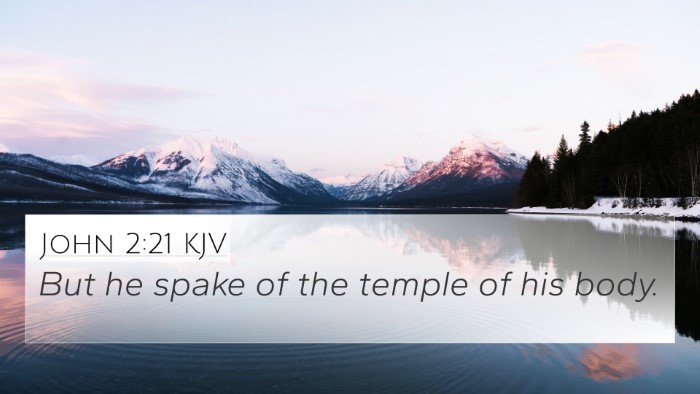 John 2:21 KJV Bible Verse Image