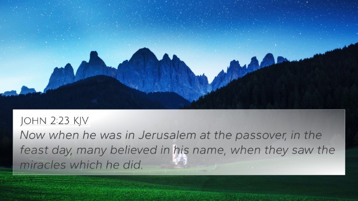 John 2:23 KJV Bible Verse Image