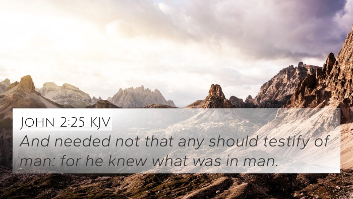 John 2:25 KJV Bible Verse Image