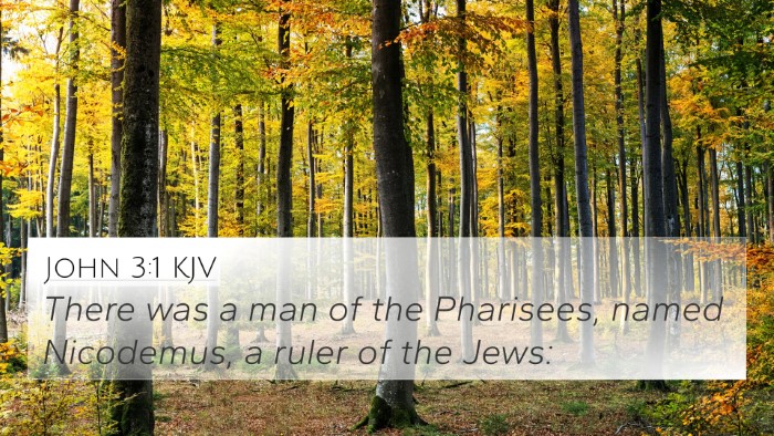 John 3:1 KJV Bible Verse Image