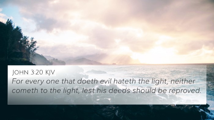 John 3:20 KJV Bible Verse Image