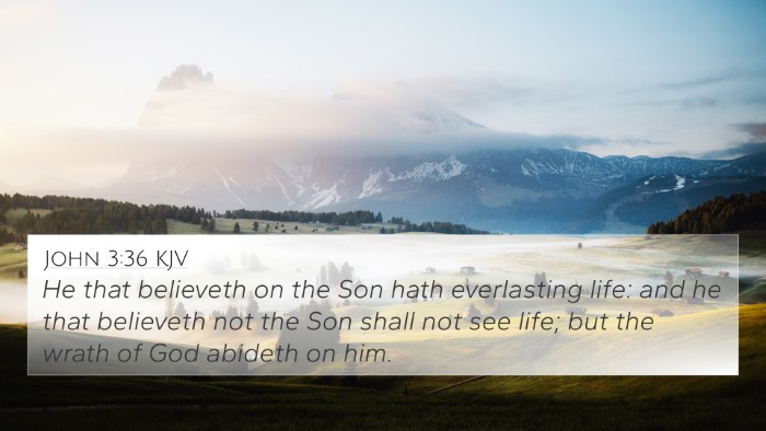 John 3:36 KJV Bible Verse Image