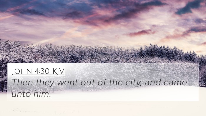 John 4:30 KJV Bible Verse Image