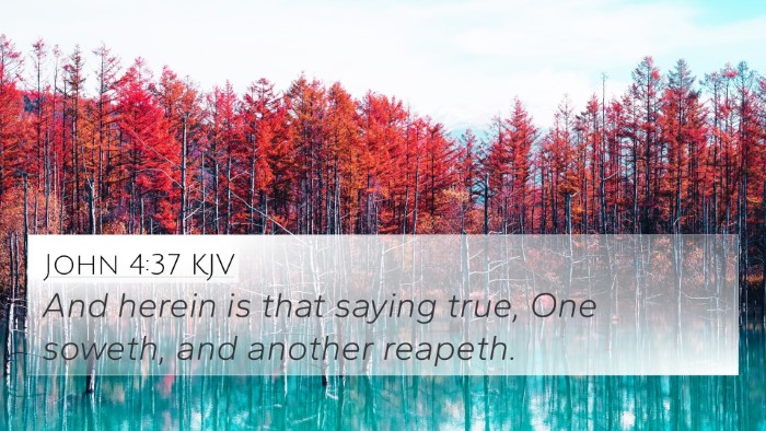 John 4:37 Explained