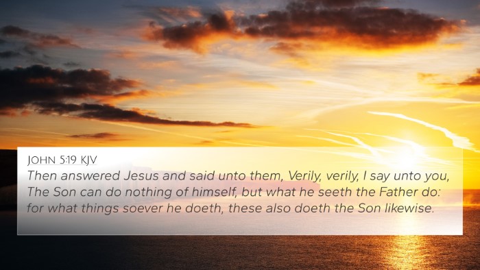 John 5:19 Explained