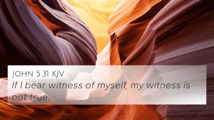 John 5:31 Explained