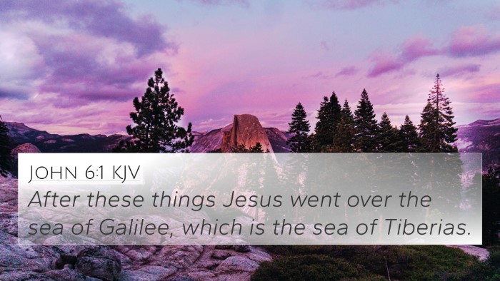 John 6:1 KJV Bible Verse Image