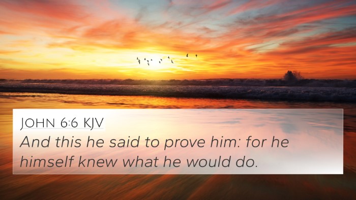 John 6:6 Explained