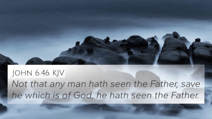 John 6:46 KJV Bible Verse Image