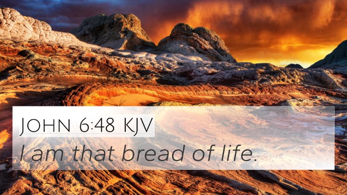 John 6:48 Explained