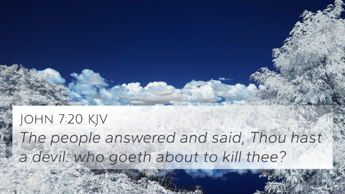 John 7:20 KJV Bible Verse Image