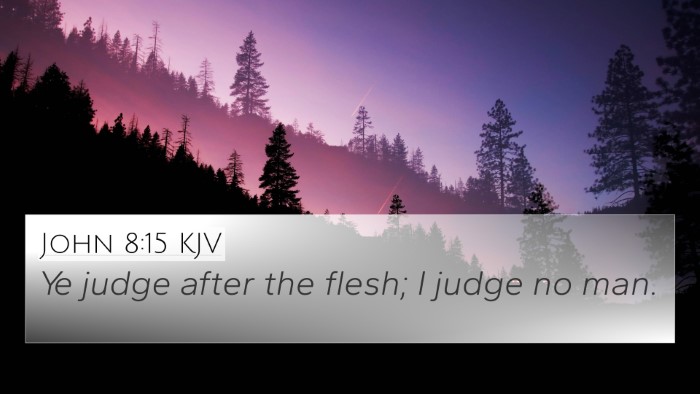 John 8:15 Explained