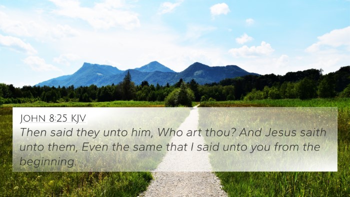 John 8:25 Explained