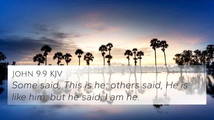 John 9:9 Explained