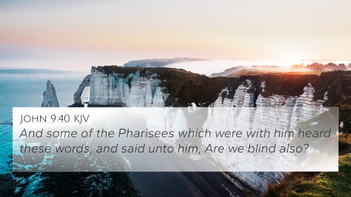John 9:40 KJV Bible Verse Image
