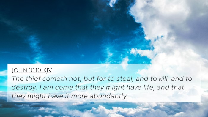 John 10:10 KJV Bible Verse Image