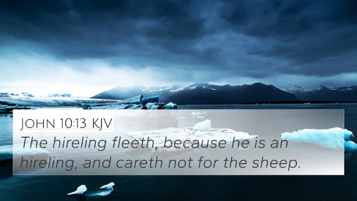 John 10:13 KJV Bible Verse Image