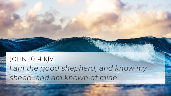 John 10:14 KJV Bible Verse Image