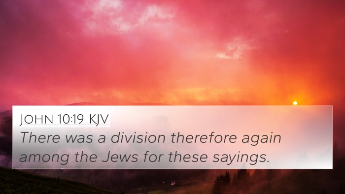John 10:19 KJV Bible Verse Image