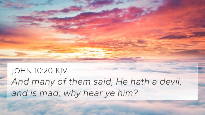 John 10:20 KJV Bible Verse Image