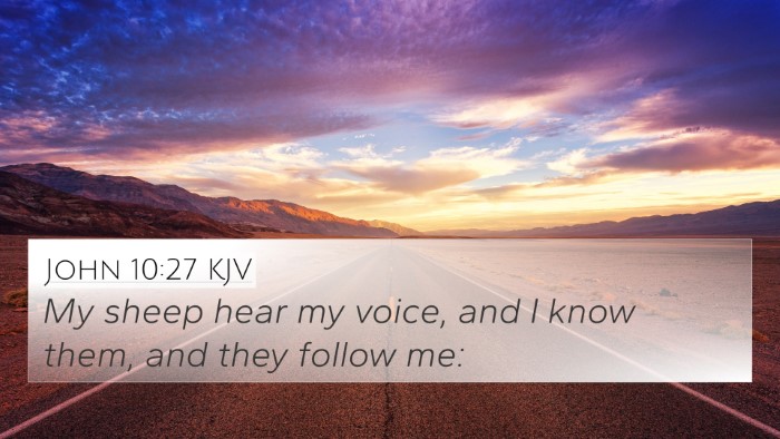 John 10:27 KJV Bible Verse Image