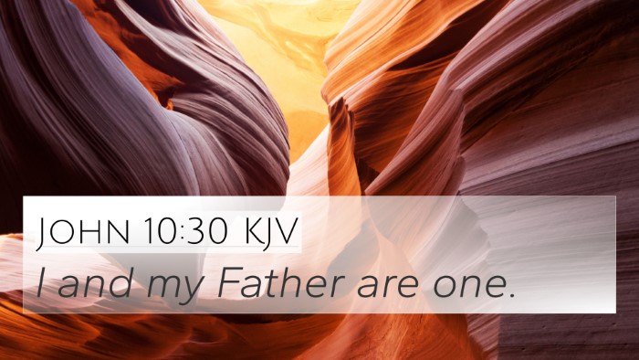 John 10:30 KJV Bible Verse Image