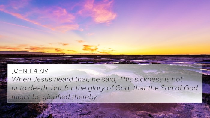 John 11:4 KJV Bible Verse Image