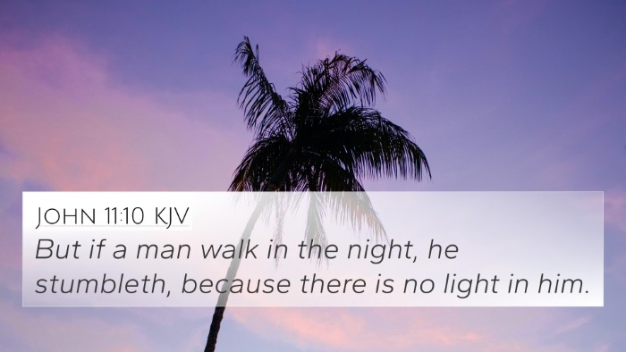 John 11:10 Explained