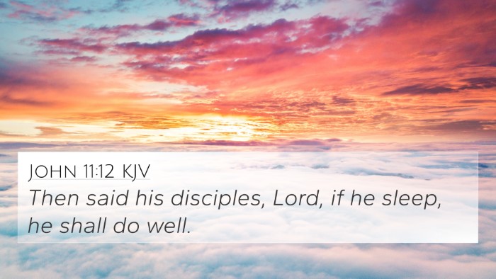 John 11:12 Explained
