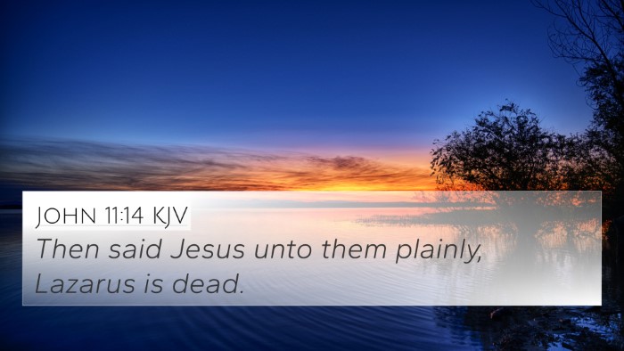 John 11:14 Explained