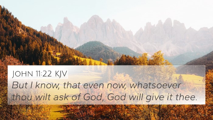John 11:22 Explained