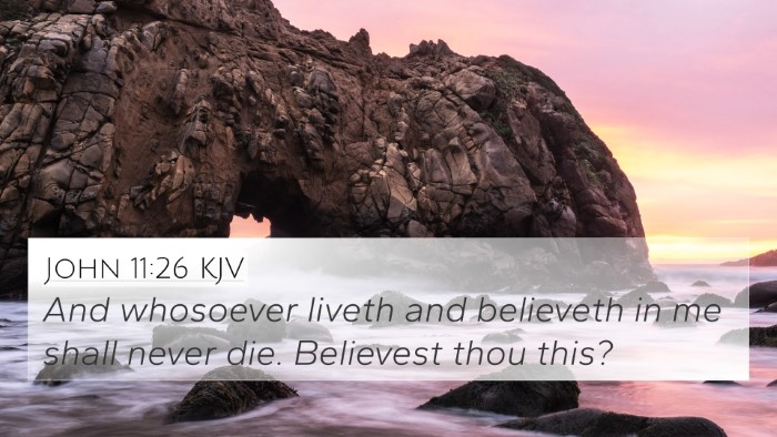 John 11:26 Explained