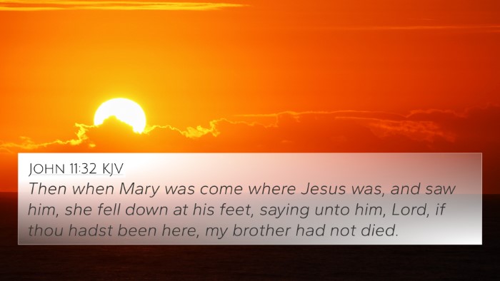 John 11:32 Explained