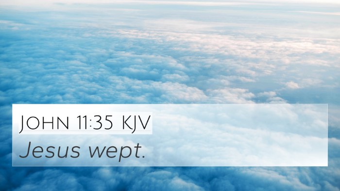 John 11:35 Explained