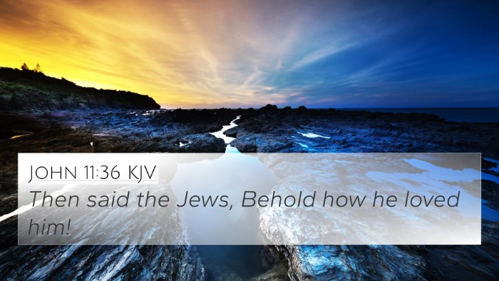 John 11:36 Explained