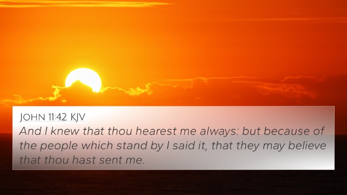 John 11:42 Explained