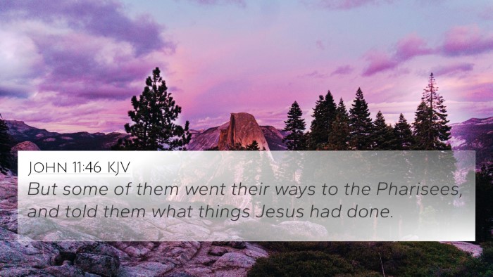 John 11:46 Explained