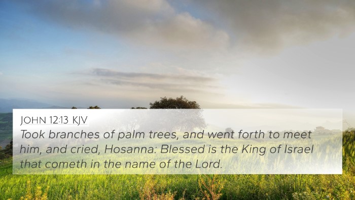 John 12:13 KJV Bible Verse Image