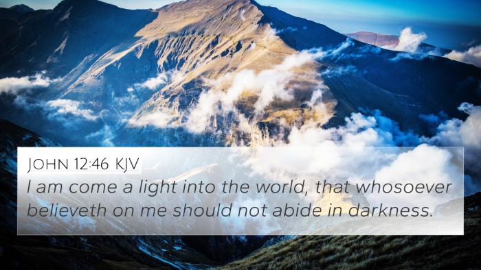 John 12:46 KJV Bible Verse Image