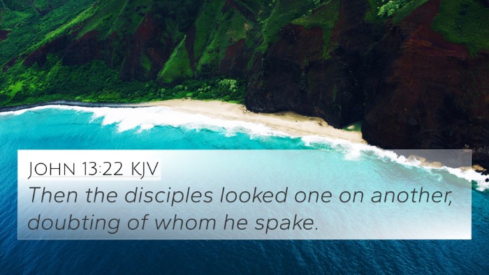 John 13:22 Explained