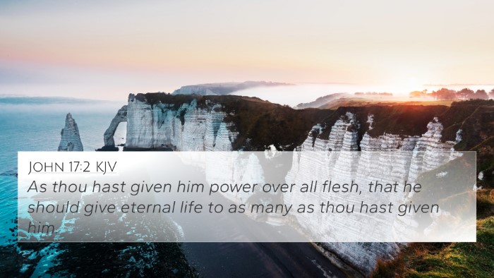 John 17:2 KJV Bible Verse Image