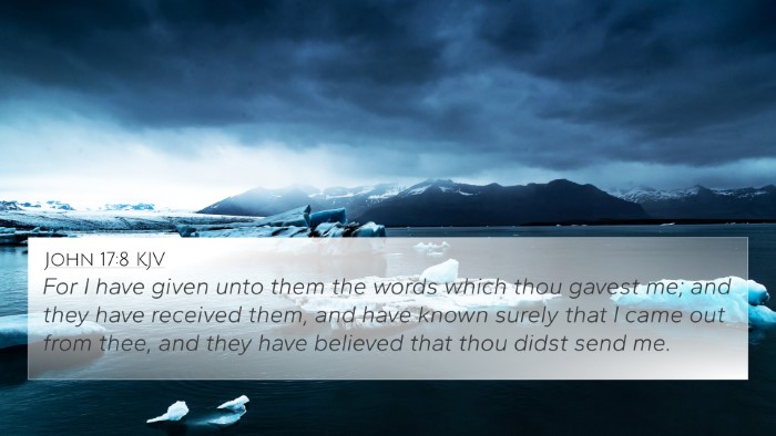 John 17:8 KJV Bible Verse Image