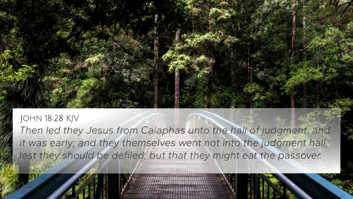 John 18:28 KJV Bible Verse Image
