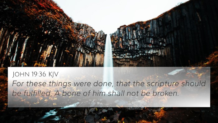 John 19:36 KJV Bible Verse Image