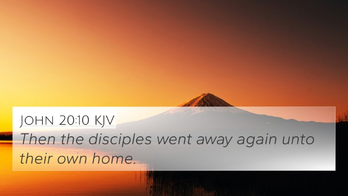 John 20:10 Explained