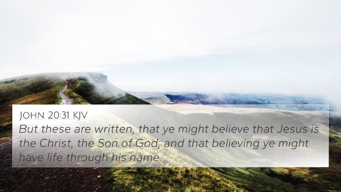 John 20:31 KJV Bible Verse Image