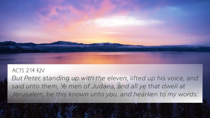 Acts 2:14 KJV Bible Verse Image