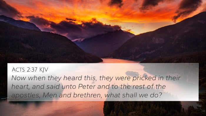 Acts 2:37 KJV Bible Verse Image