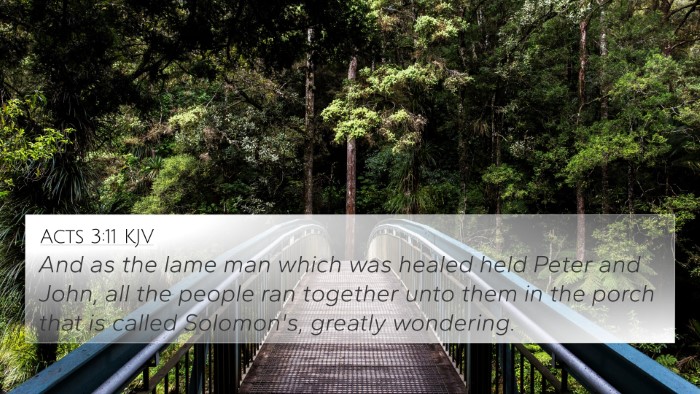 Acts 3:11 KJV Bible Verse Image